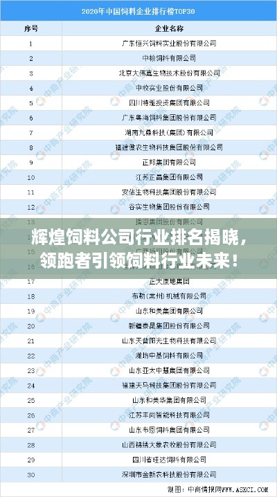 辉煌饲料公司行业排名揭晓，领跑者引领饲料行业未来！