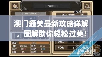 澳门通关最新攻略详解，图解助你轻松过关！