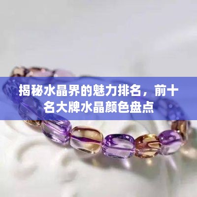 纲挈目张 第2页
