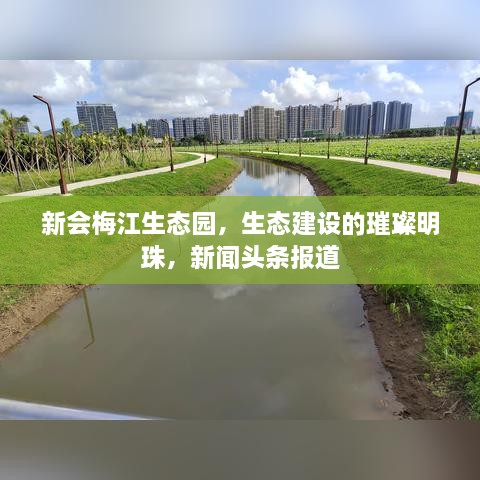 犯而不校 第2页