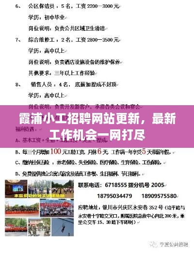 如鸟兽散 第2页