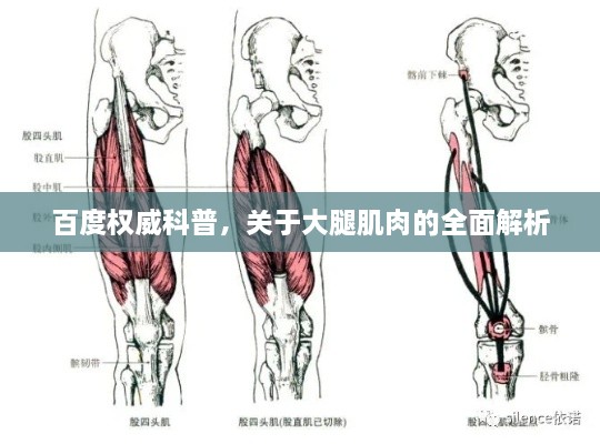 死得其所 第2页