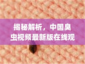 揭秘解析，中国臭虫视频最新版在线观看，不容错过！