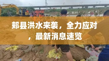 ponashugeng 第2页
