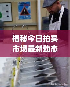 揭秘今日拍卖市场最新动态，活跃度的关键信号发布！