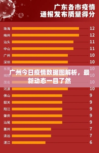 广州今日疫情数据图解析，最新动态一目了然