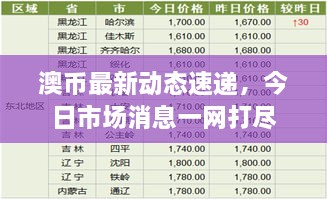 澳币最新动态速递，今日市场消息一网打尽