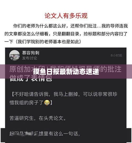 摸鱼日报最新动态速递