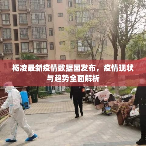 杨凌最新疫情数据图发布，疫情现状与趋势全面解析