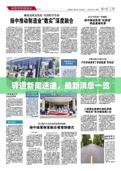 驿道新闻速递，最新消息一览