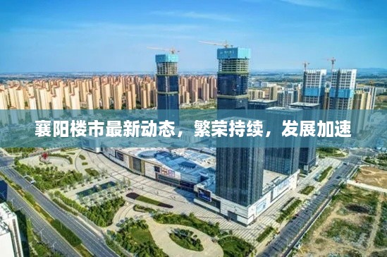 襄阳楼市最新动态，繁荣持续，发展加速