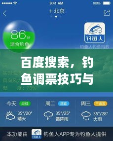 百度搜索，钓鱼调票技巧与垂钓乐趣探索