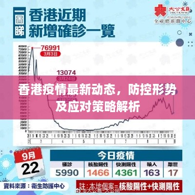 香港疫情最新动态，防控形势及应对策略解析