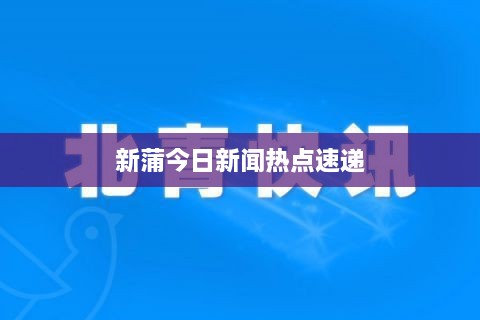 新蒲今日新闻热点速递