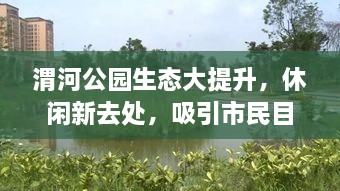 渭河公园生态大提升，休闲新去处，吸引市民目光