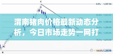 千娇百媚 第2页
