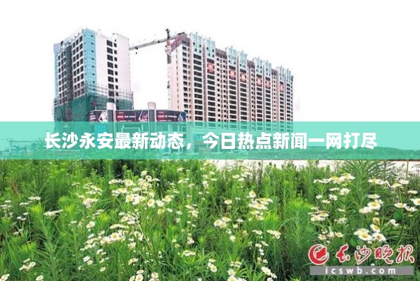 长沙永安最新动态，今日热点新闻一网打尽