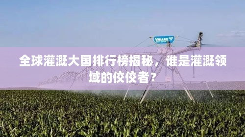 全球灌溉大国排行榜揭秘，谁是灌溉领域的佼佼者？