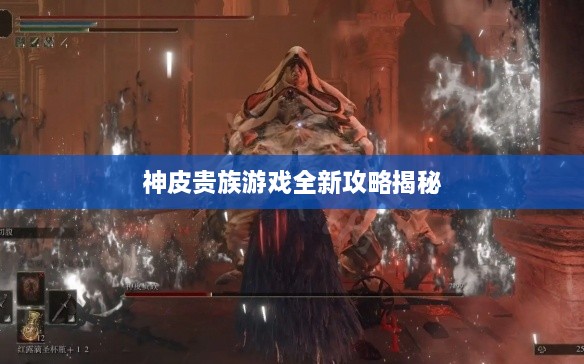 神皮贵族游戏全新攻略揭秘