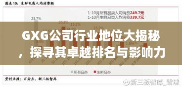 GXG公司行业地位大揭秘，探寻其卓越排名与影响力