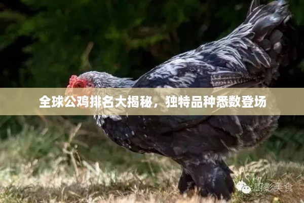 富贵功名 第2页