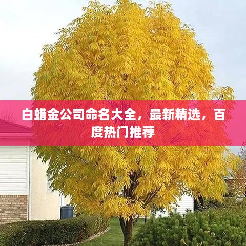 白蜡金公司命名大全，最新精选，百度热门推荐