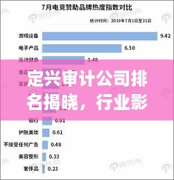 定兴审计公司排名揭晓，行业影响力不容小觑