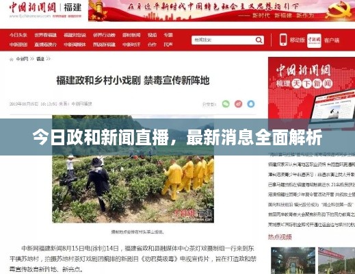 惊弓之鸟 第2页
