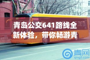 青岛公交641路线全新体验，带你畅游青岛公交出行网络