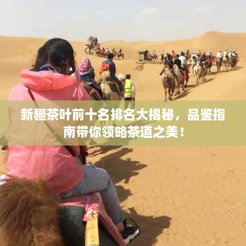 新疆茶叶前十名排名大揭秘，品鉴指南带你领略茶道之美！