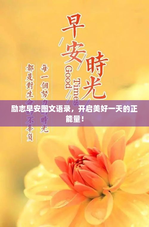 金石为开 第2页