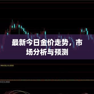 最新今日金价走势，市场分析与预测