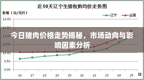 今日猪肉价格走势揭秘，市场动向与影响因素分析