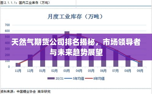 天然气期货公司排名揭秘，市场领导者与未来趋势展望
