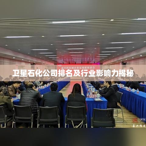 卫星石化公司排名及行业影响力揭秘