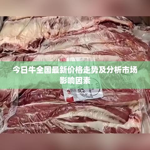 今日牛全国最新价格走势及分析市场影响因素