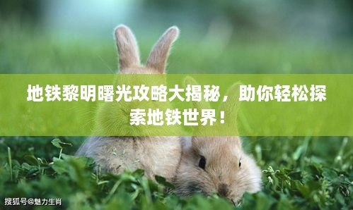地铁黎明曙光攻略大揭秘，助你轻松探索地铁世界！