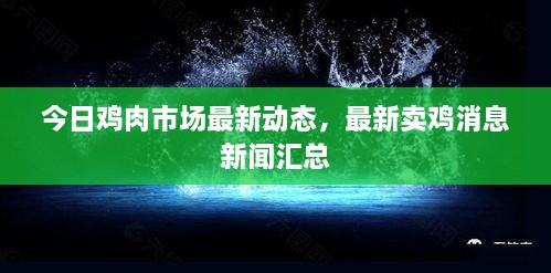 今日鸡肉市场最新动态，最新卖鸡消息新闻汇总