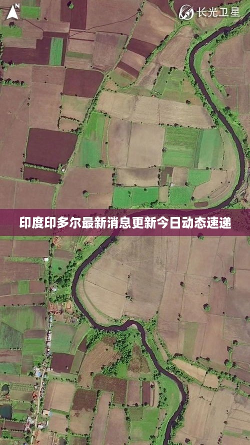 披肝沥胆 第2页