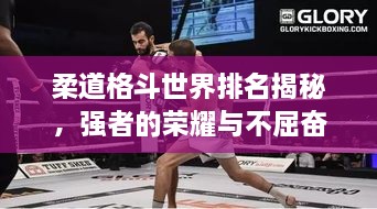 柔道格斗世界排名揭秘，强者的荣耀与不屈奋斗历程