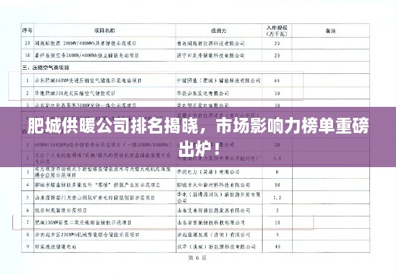 肥城供暖公司排名揭晓，市场影响力榜单重磅出炉！