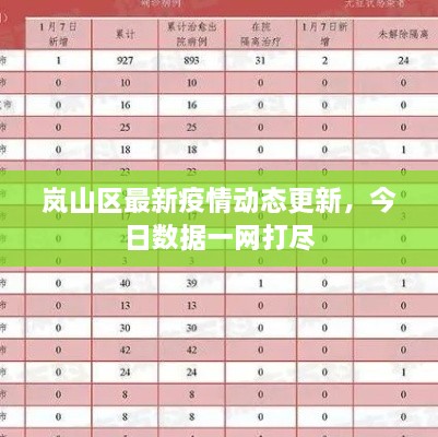 岚山区最新疫情动态更新，今日数据一网打尽