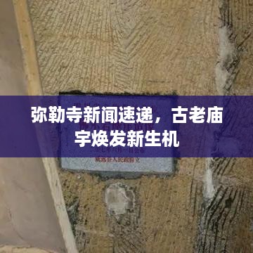 弥勒寺新闻速递，古老庙宇焕发新生机