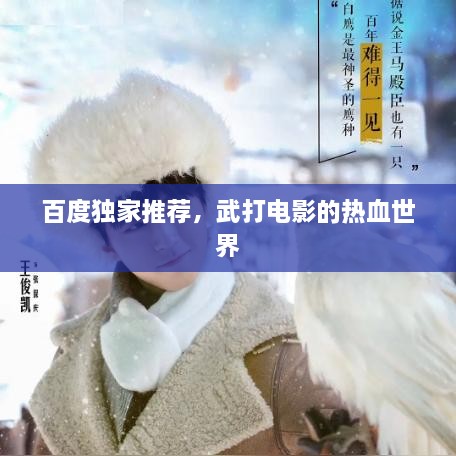 百度独家推荐，武打电影的热血世界