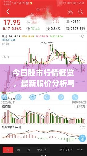 今日股市行情概览，最新股价分析与策略