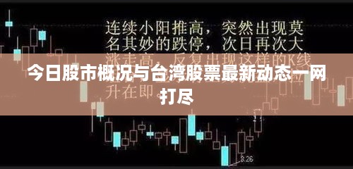 今日股市概况与台湾股票最新动态一网打尽