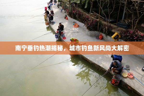 南宁垂钓热潮揭秘，城市钓鱼新风尚大解密