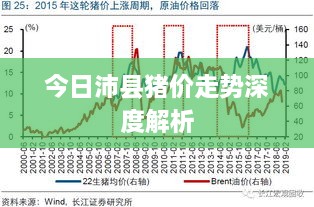 今日沛县猪价走势深度解析