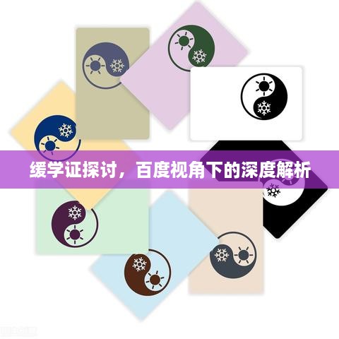 缓学证探讨，百度视角下的深度解析