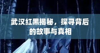武汉红黑揭秘，探寻背后的故事与真相